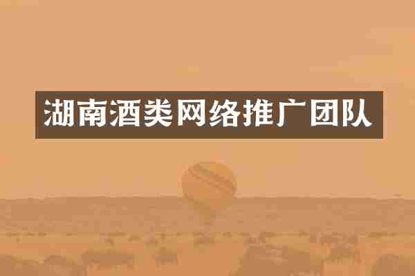 湖南酒类网络推广团队