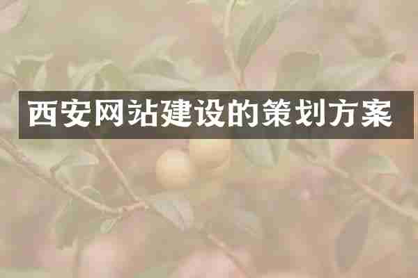 西安网站建设的策划方案