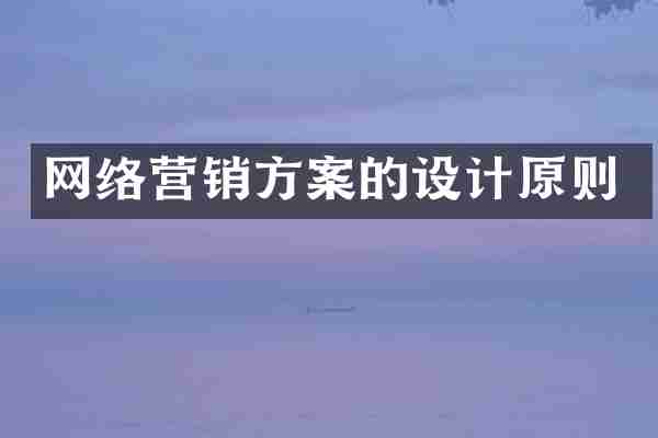 网络营销方案的设计原则