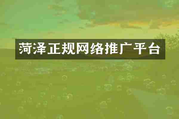 菏泽正规网络推广平台