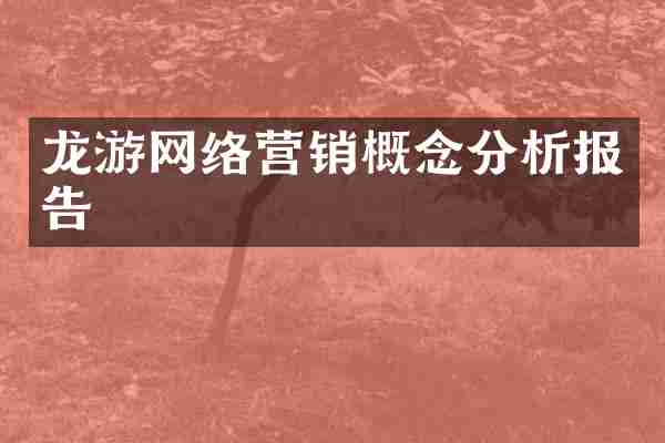 龙游网络营销概念分析报告