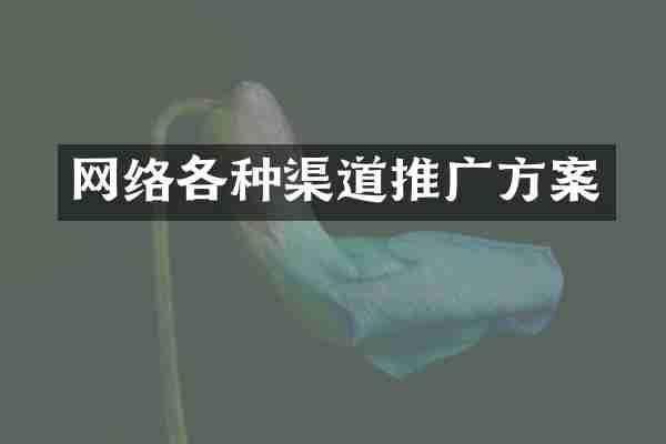 网络各种渠道推广方案