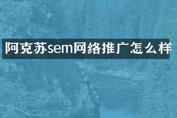 阿克苏sem网络推广怎么样