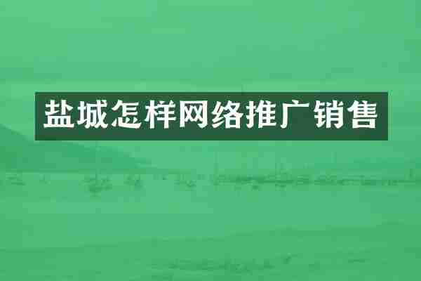 盐城怎样网络推广销售
