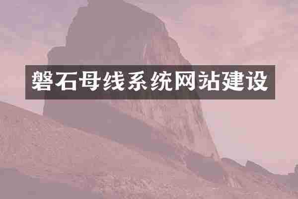 磐石母线系统网站建设