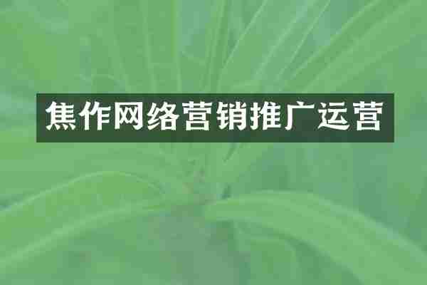 焦作网络营销推广运营