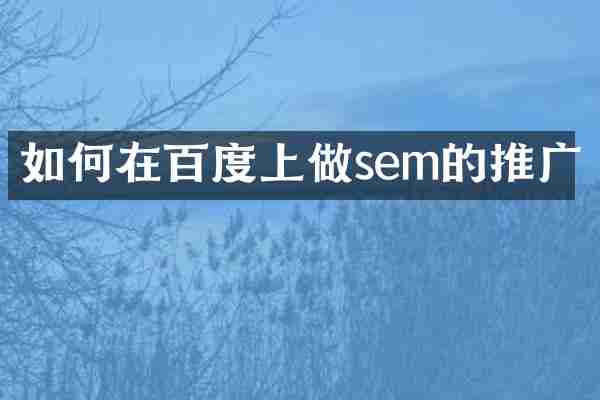 如何在百度上做sem的推广