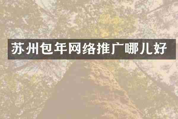 苏州包年网络推广哪儿好