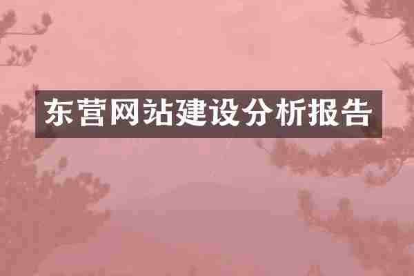 东营网站建设分析报告
