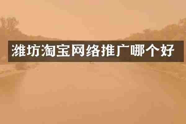 潍坊淘宝网络推广哪个好
