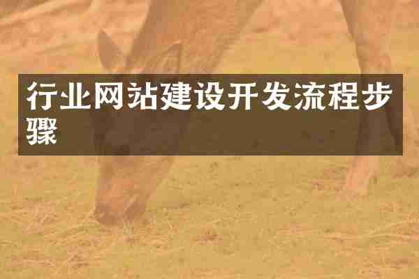 行业网站建设开发流程步骤