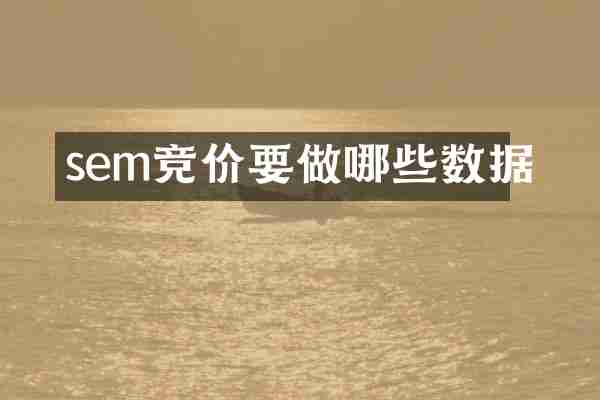 sem竞价要做哪些数据