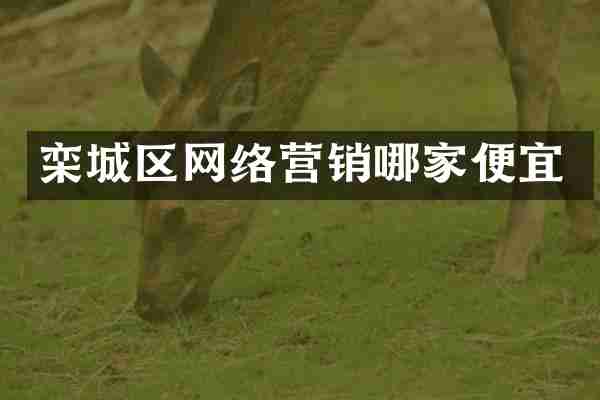 栾城区网络营销哪家便宜