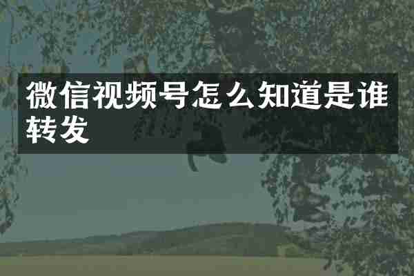 微信视频号怎么知道是谁转发