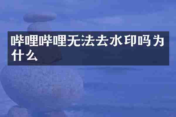 哔哩哔哩无法去水印吗为什么