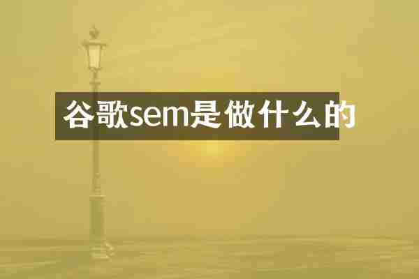 谷歌sem是做什么的