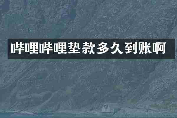 哔哩哔哩垫款多久到账啊