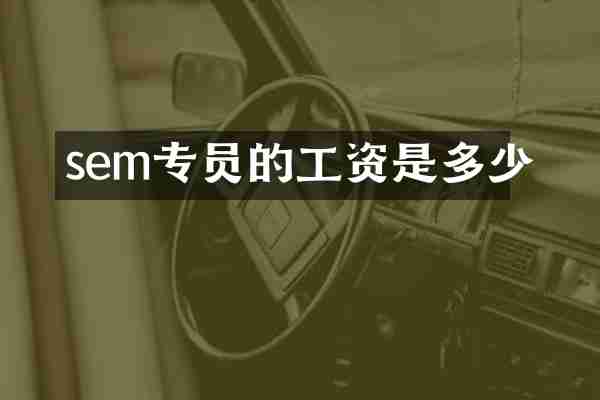 sem专员的工资是多少
