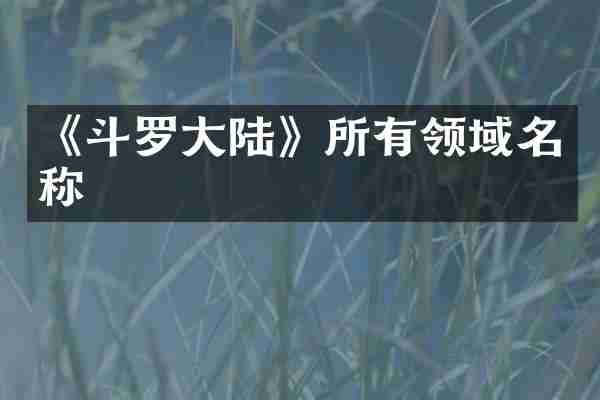 《斗罗大陆》所有领域名称
