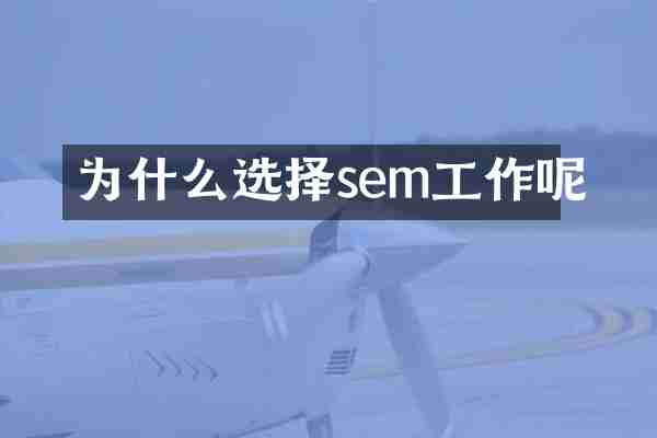为什么选择sem工作呢