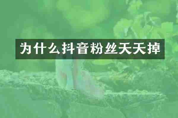 为什么抖音粉丝天天掉
