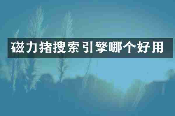 磁力猪搜索引擎哪个好用