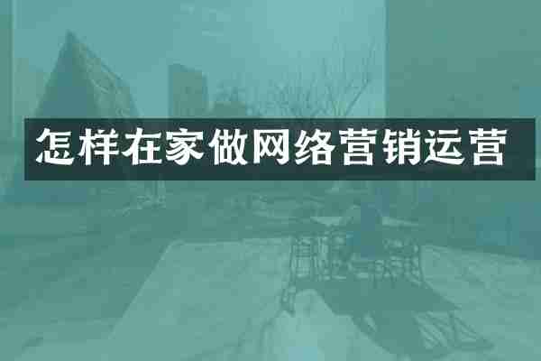 怎样在家做网络营销运营
