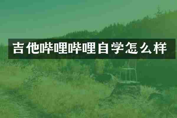 吉他哔哩哔哩自学怎么样