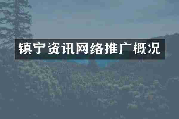 镇宁资讯网络推广概况