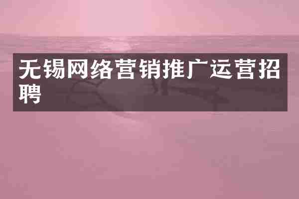 无锡网络营销推广运营招聘