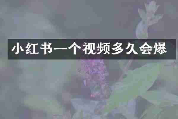 小红书一个视频多久会爆