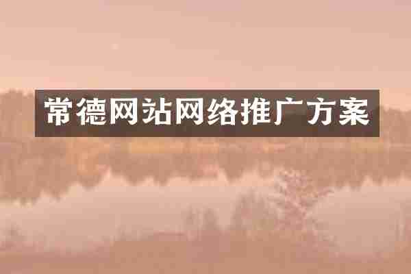常德网站网络推广方案