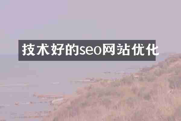 技术好的seo网站优化