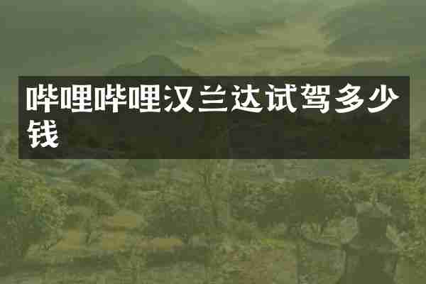 哔哩哔哩汉兰达试驾多少钱