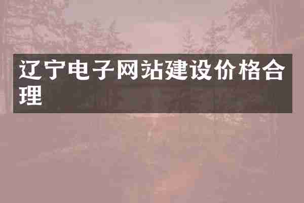 辽宁电子网站建设价格合理