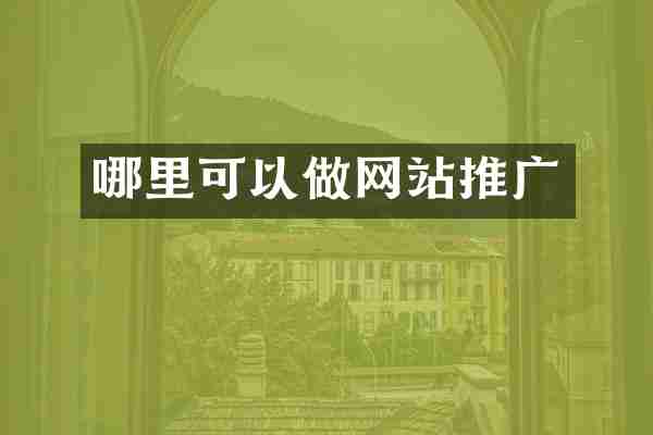 哪里可以做网站推广
