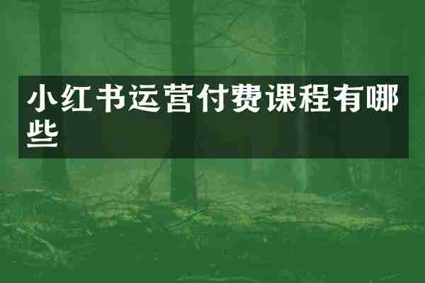 小红书运营付费课程有哪些