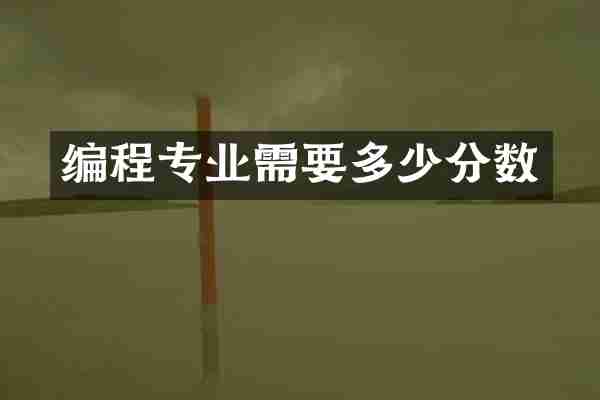 编程专业需要多少分数