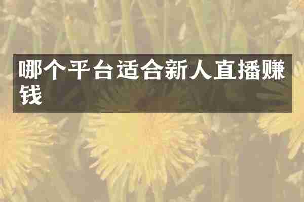 哪个平台适合新人直播赚钱