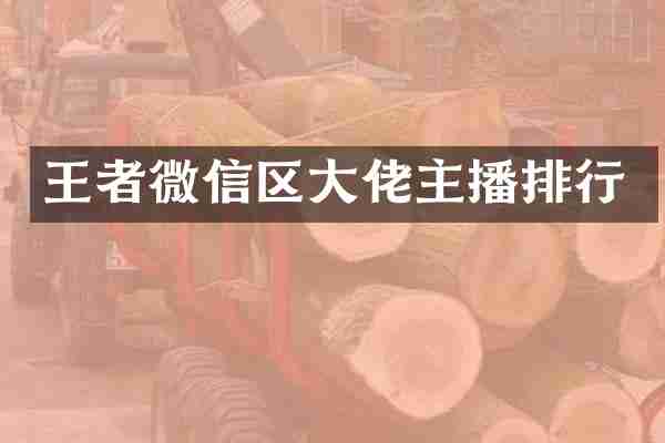 王者微信区大佬主播排行