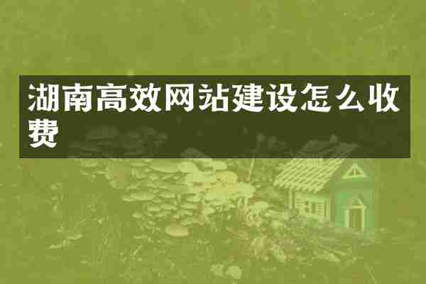 湖南高效网站建设怎么收费