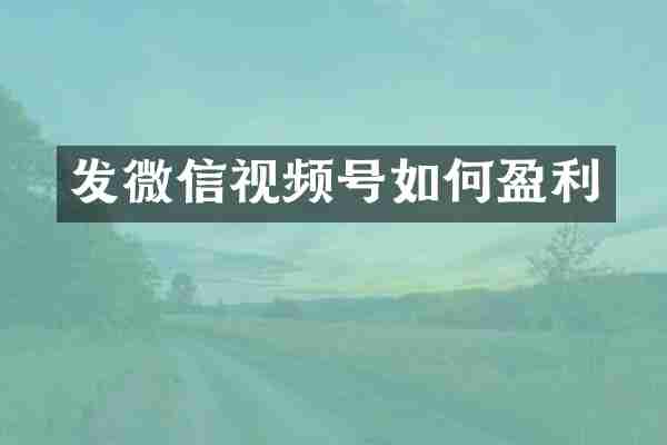 发微信视频号如何盈利