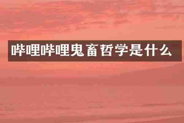 哔哩哔哩鬼畜哲学是什么