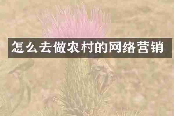 怎么去做农村的网络营销