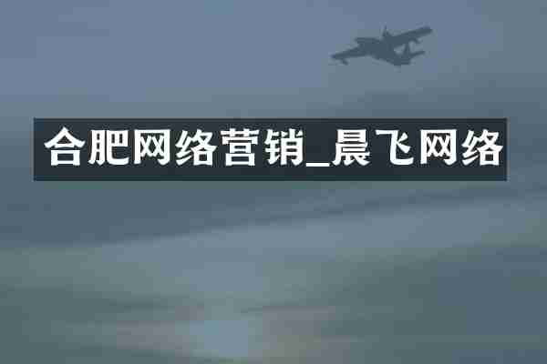 合肥网络营销_晨飞网络
