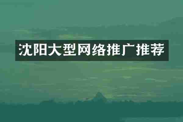 沈阳大型网络推广推荐
