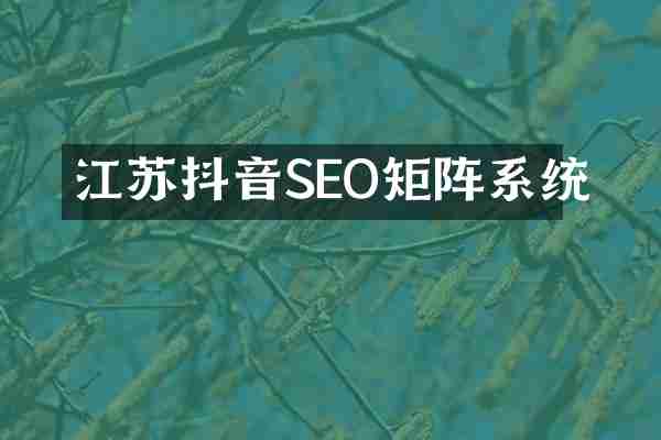 江苏抖音SEO矩阵系统