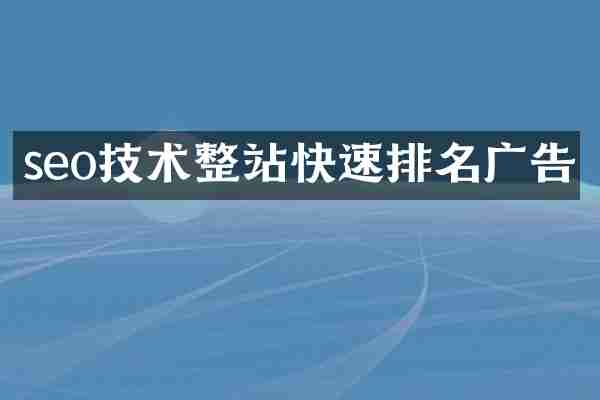 seo技术整站快速排名广告