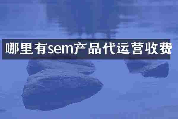 哪里有sem产品代运营收费