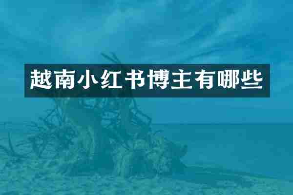 越南小红书博主有哪些